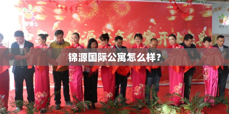 锦源国际公寓怎么样？