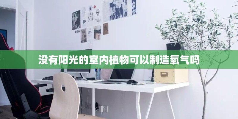 没有阳光的室内植物可以制造氧气吗