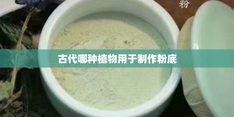 如何养河豚