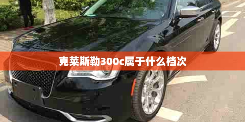 《种蚕豆》中班教案