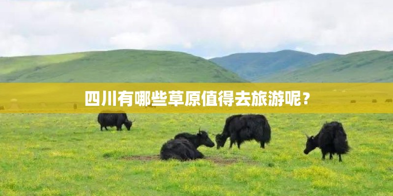恒佳格调怎么样？