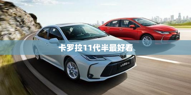 《种蚕豆》中班教案