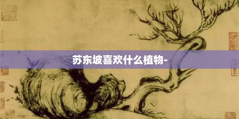苏东坡喜欢什么植物-