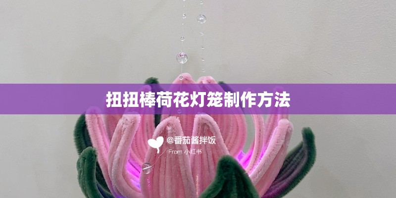 什么是植物性炭粉
