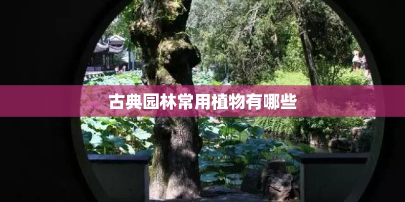 古典园林常用植物有哪些
