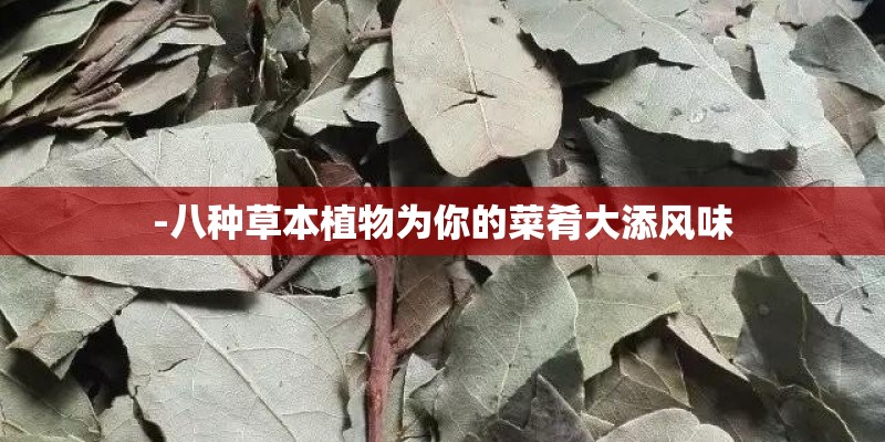 恒佳格调怎么样？
