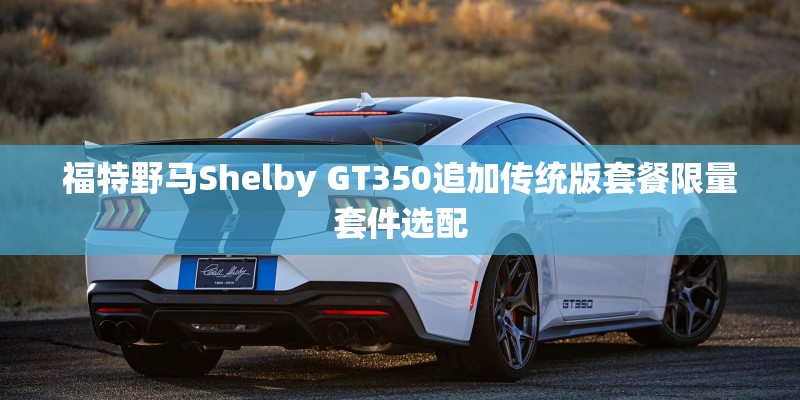 马赛国际公寓的介绍