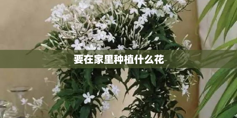 马赛国际公寓的介绍