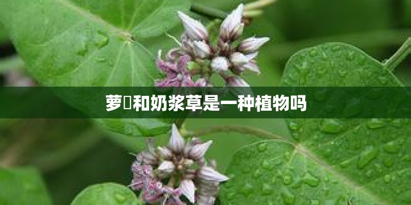 小说投稿邮箱地址？