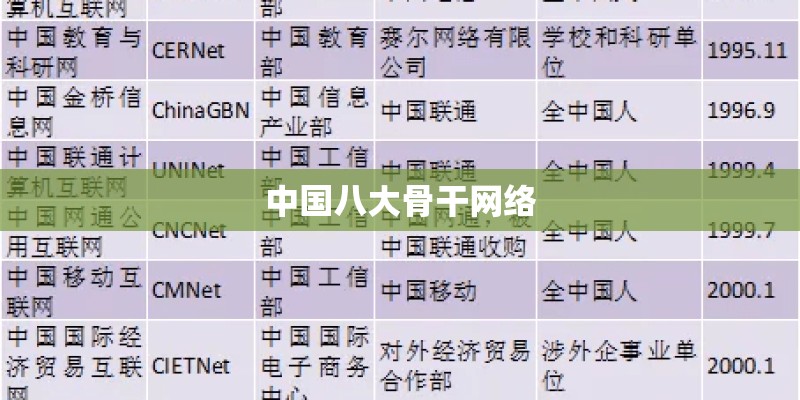 中国八大骨干网络
