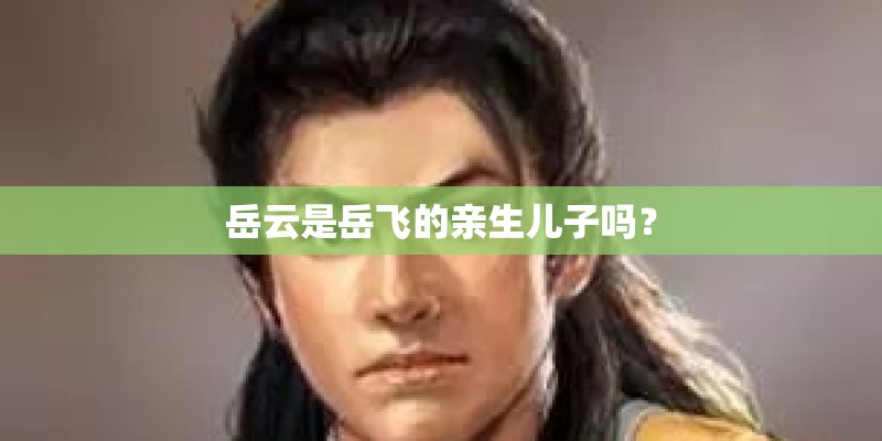 岳云是岳飞的亲生儿子吗？