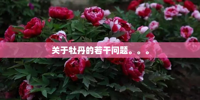形容“胡杨林”的句子。