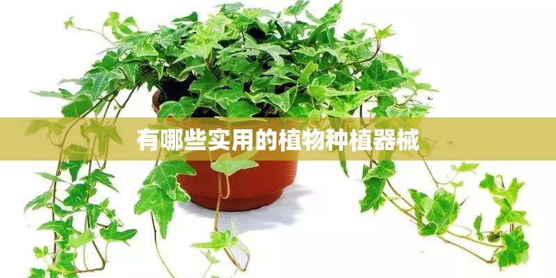 有哪些实用的植物种植器械