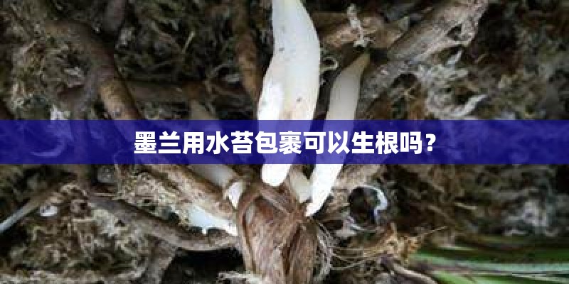 有哪些实用的植物种植器械