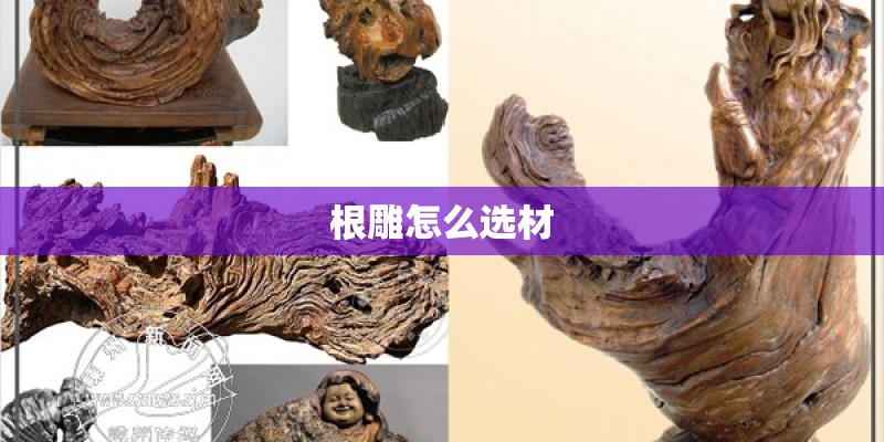 国际足联最新排名