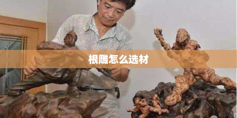 根雕怎么选材
