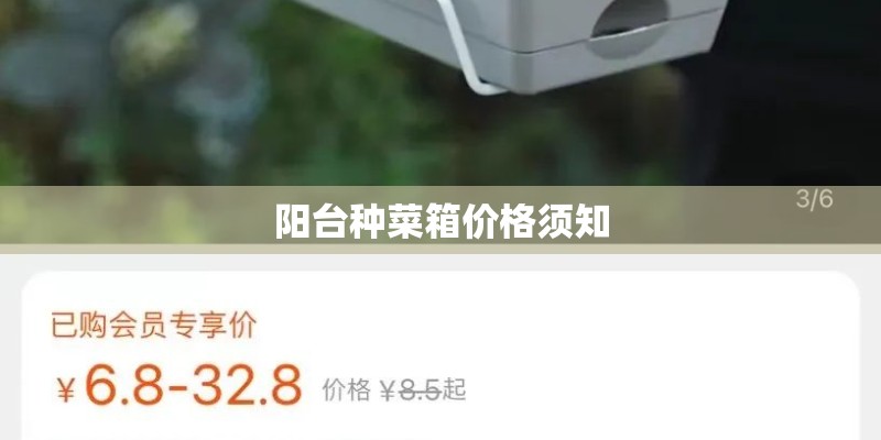 阳台种菜箱价格须知 阳台种菜箱价格须知