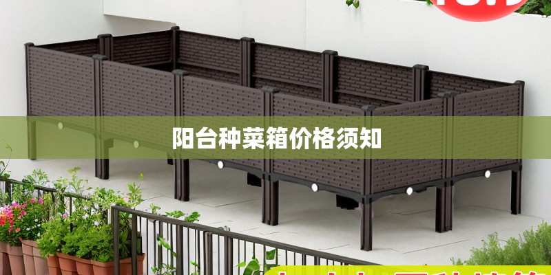 阳台种菜箱价格须知 阳台种菜箱价格须知