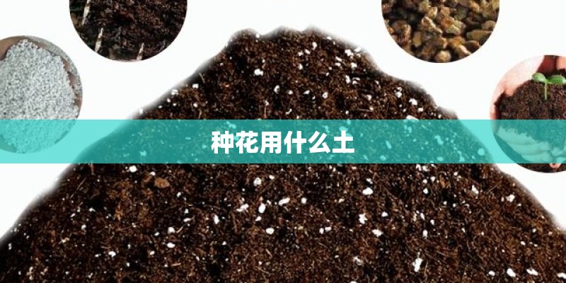 种花用什么土