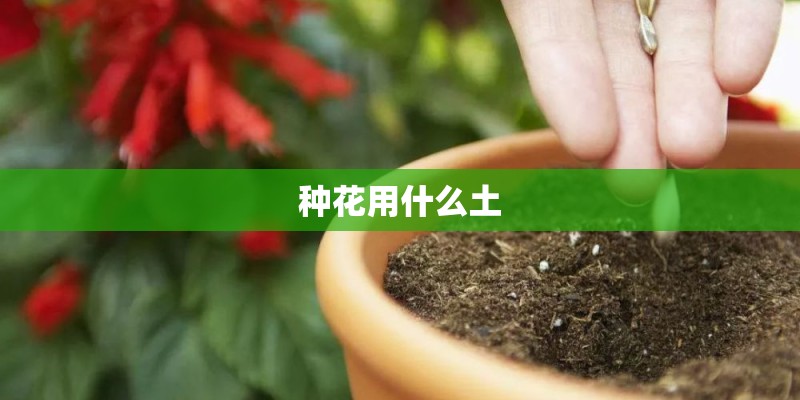 种花用什么土