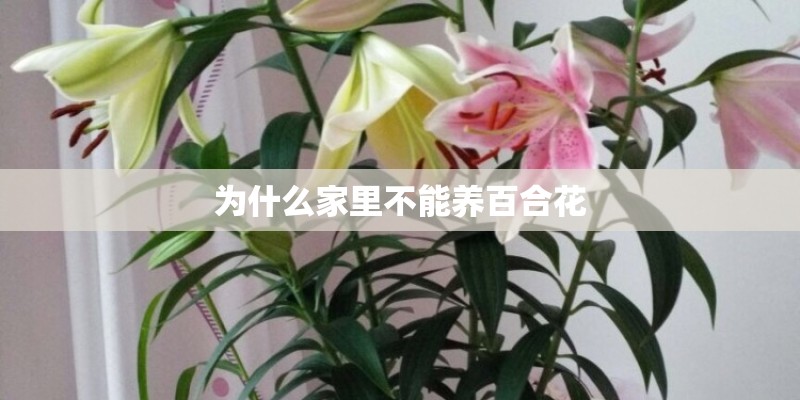 南京万和尊邸二手房均价多少钱一平米？