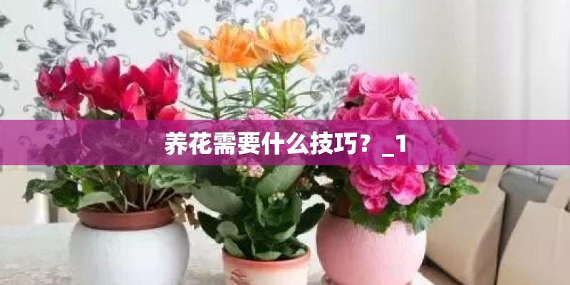 养花需要什么技巧？_1
