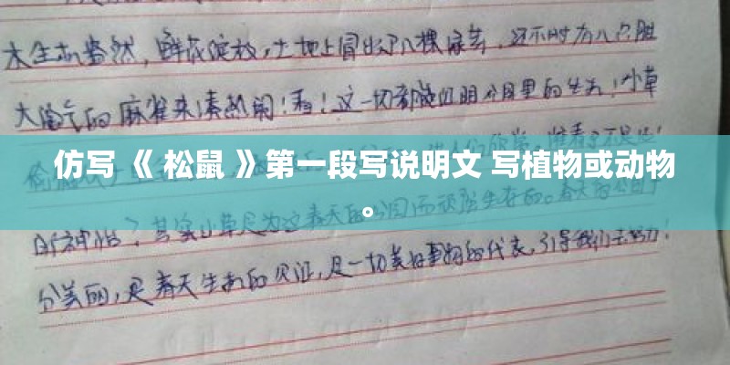 仿写 《 松鼠 》第一段写说明文 写植物或动物。
