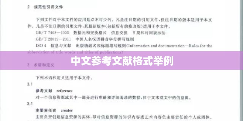 中文参考文献格式举例 中文参考文献格式举例