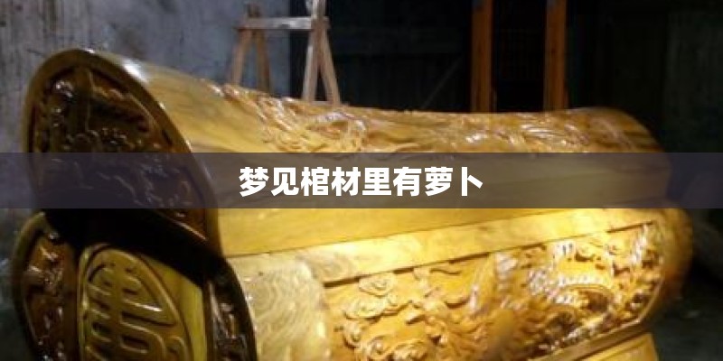 梦见棺材里有萝卜