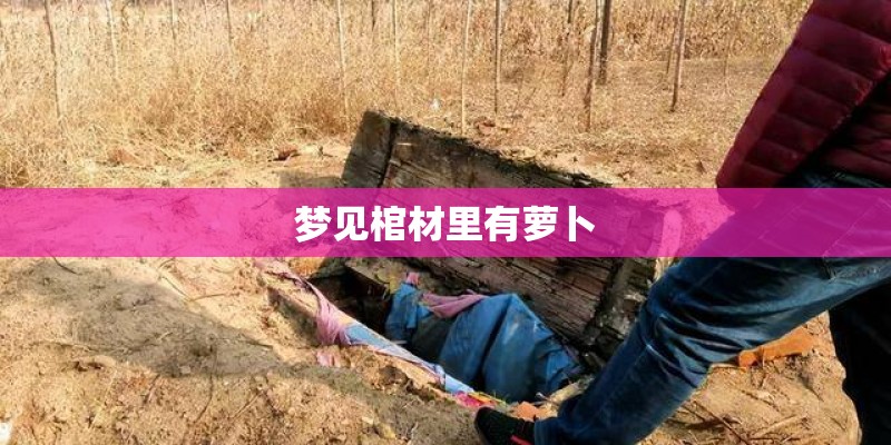 梦见棺材里有萝卜