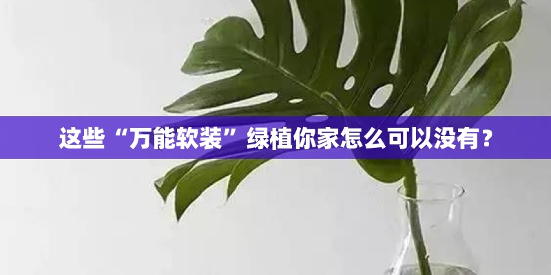 这些“万能软装”绿植你家怎么可以没有？